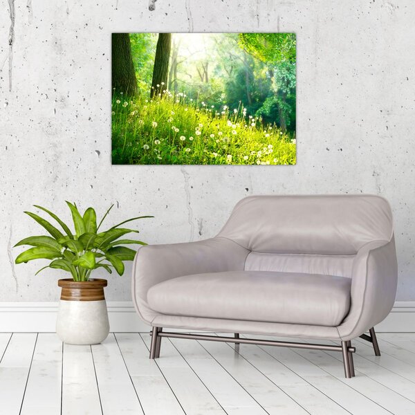 Obraz - Magická louka plná pampelišek (70x50 cm)