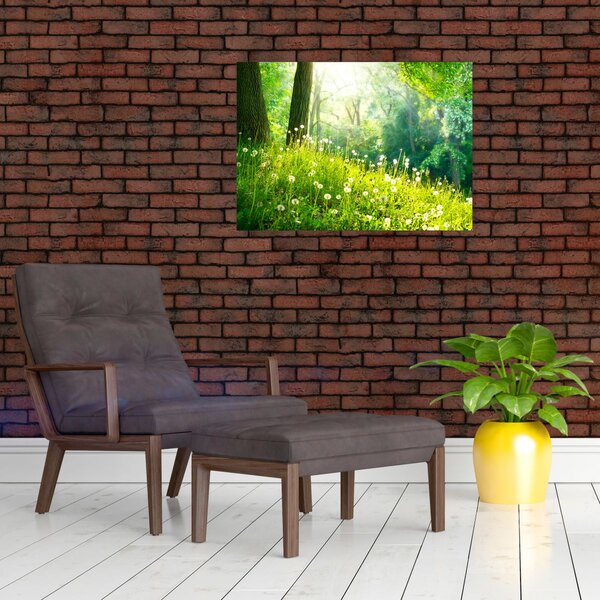 Obraz - Magická louka plná pampelišek (70x50 cm)