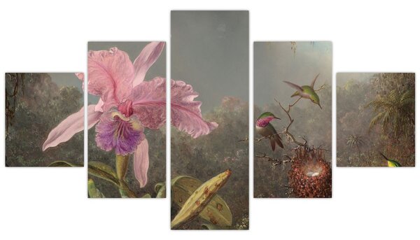Obraz - Martin Johnson Heade, Cattleya Orchid and Three Hummingbirds, reprodukce (125x70 cm)