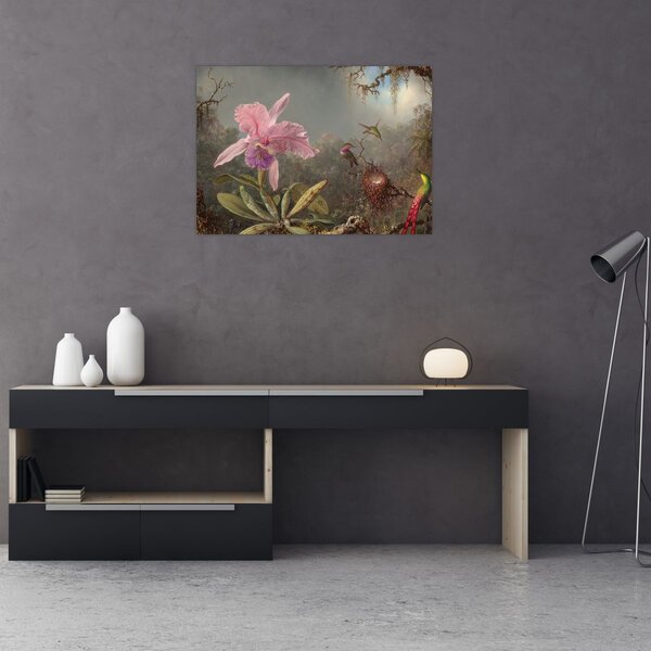 Obraz - Martin Johnson Heade, Cattleya Orchid and Three Hummingbirds, reprodukce (70x50 cm)