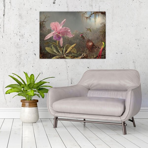 Obraz - Martin Johnson Heade, Cattleya Orchid and Three Hummingbirds, reprodukce (70x50 cm)