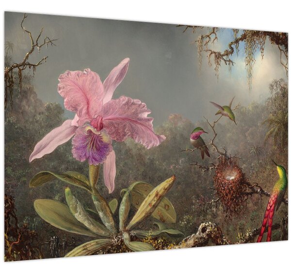 Obraz - Martin Johnson Heade, Cattleya Orchid and Three Hummingbirds, reprodukce (70x50 cm)
