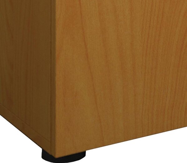 Dvoudveřová komoda Vandol Mini dekor buk
