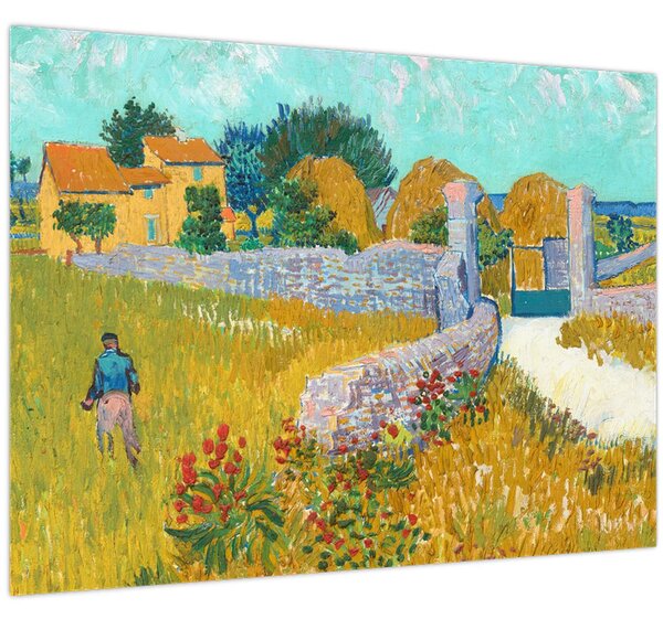 Obraz - Vincent van Gogh, Farmhouse in Provence, reprodukce (70x50 cm)
