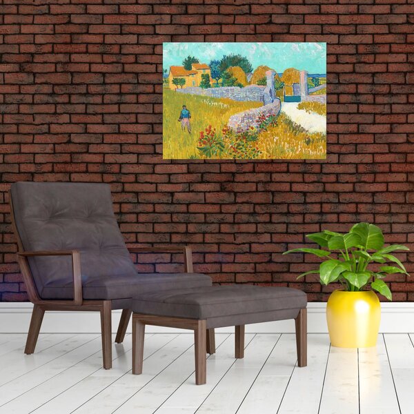 Obraz - Vincent van Gogh, Farmhouse in Provence, reprodukce (70x50 cm)