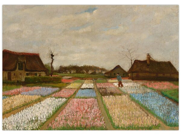 Obraz - Vincent van Gogh, Flower Beds in Holland, reprodukce (70x50 cm)