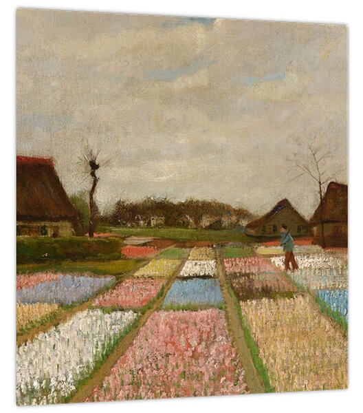 Obraz - Vincent van Gogh, Flower Beds in Holland, reprodukce (30x30 cm)