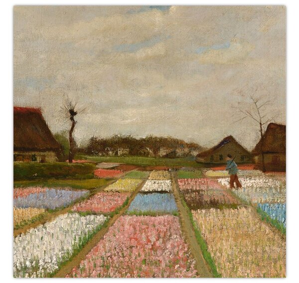 Obraz - Vincent van Gogh, Flower Beds in Holland, reprodukce (30x30 cm)