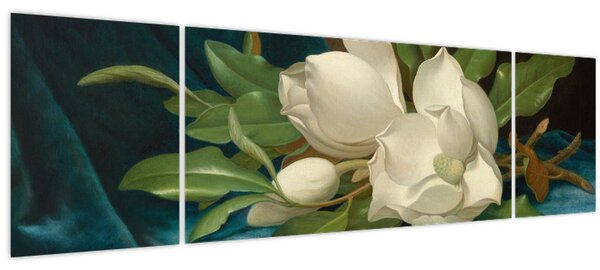 Obraz - Martin Johnson Heade, Giant Magnolias on a Blue Velvet Cloth, reprodukce (170x50 cm)
