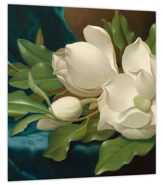 Obraz - Martin Johnson Heade, Giant Magnolias on a Blue Velvet Cloth, reprodukce (30x30 cm)