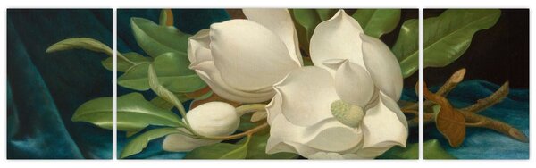 Obraz - Martin Johnson Heade, Giant Magnolias on a Blue Velvet Cloth, reprodukce (170x50 cm)