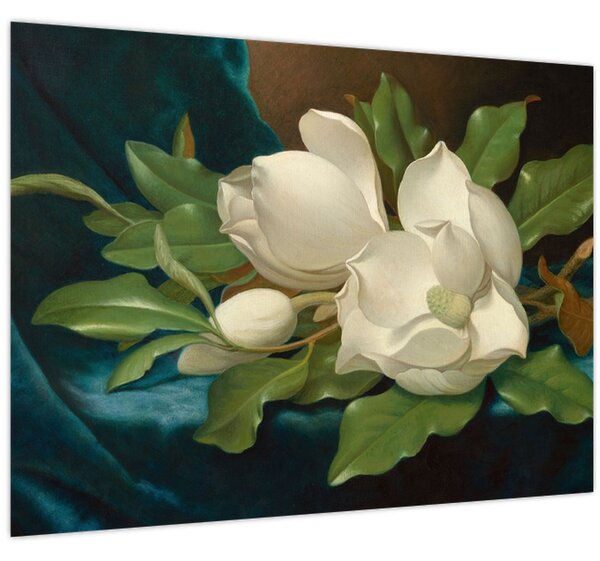 Obraz - Martin Johnson Heade, Giant Magnolias on a Blue Velvet Cloth, reprodukce (70x50 cm)