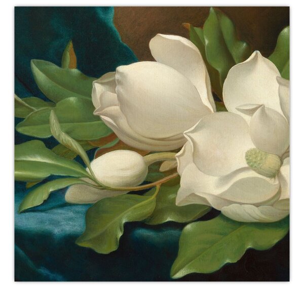 Obraz - Martin Johnson Heade, Giant Magnolias on a Blue Velvet Cloth, reprodukce (30x30 cm)