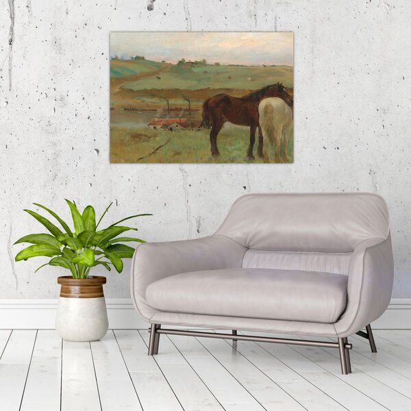 Obraz - Edgar Degas, Horses in a Meadow, reprodukce (70x50 cm)