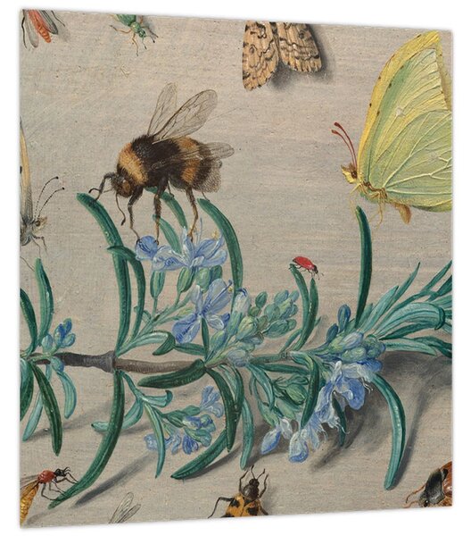 Obraz - Jan van Kessel the Elder, Insects and a Sprig of Rosemary, reprodukce (30x30 cm)