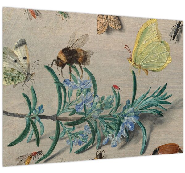 Obraz - Jan van Kessel the Elder, Insects and a Sprig of Rosemary, reprodukce (70x50 cm)