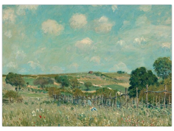 Obraz - Alfred Sisley, Meadow, reprodukce (70x50 cm)