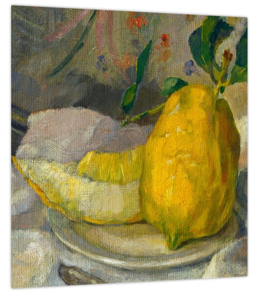 Obraz - French 19th Century, Melon and Lemon, reprodukce (30x30 cm)