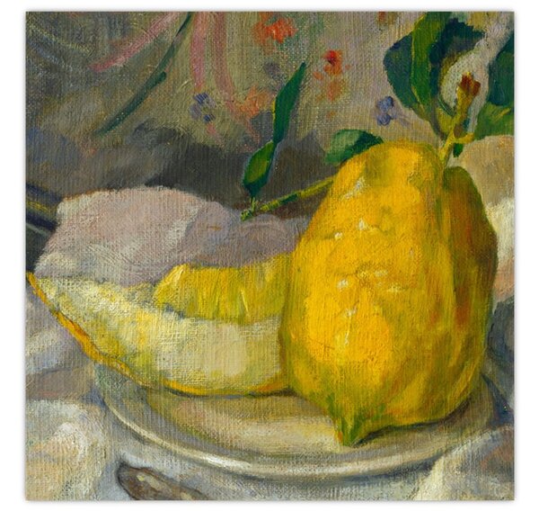 Obraz - French 19th Century, Melon and Lemon, reprodukce (30x30 cm)