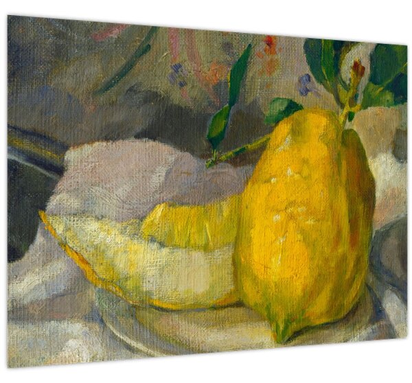 Obraz - French 19th Century, Melon and Lemon, reprodukce (70x50 cm)