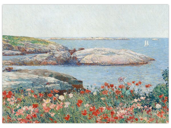 Obraz - Childe Hassam, Poppies, Isles of Shoals, reprodukce (70x50 cm)
