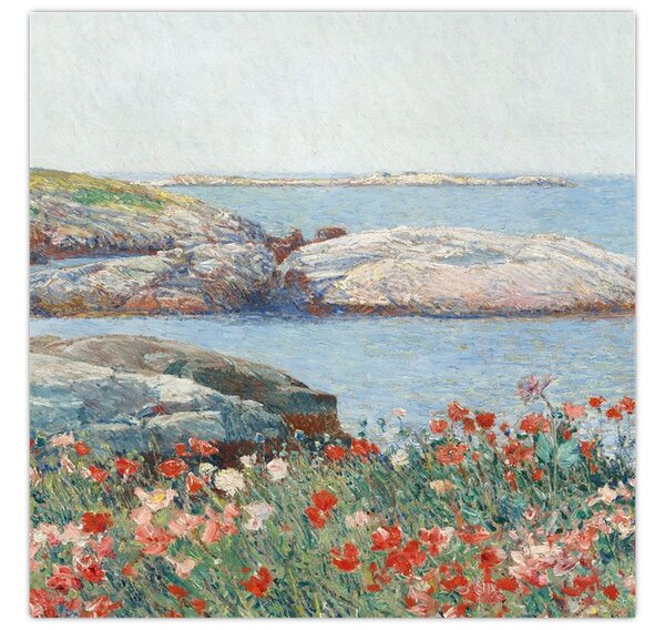 Obraz - Childe Hassam, Poppies, Isles of Shoals, reprodukce (30x30 cm)