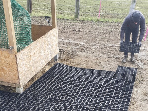 Zatravňovací a parkovací dlažba Mosolut Easygrid