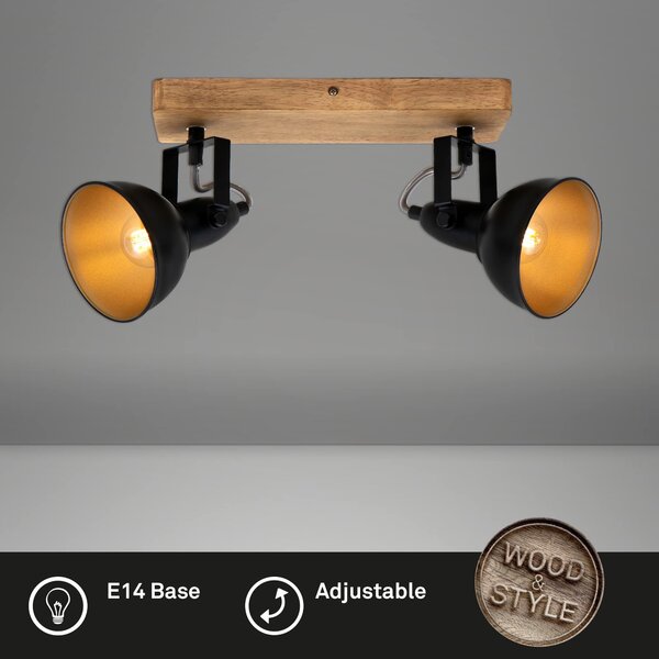 BRI 2901-025 Bodové svítidlo 28 cm 2x E14 25W černá - BRILONER
