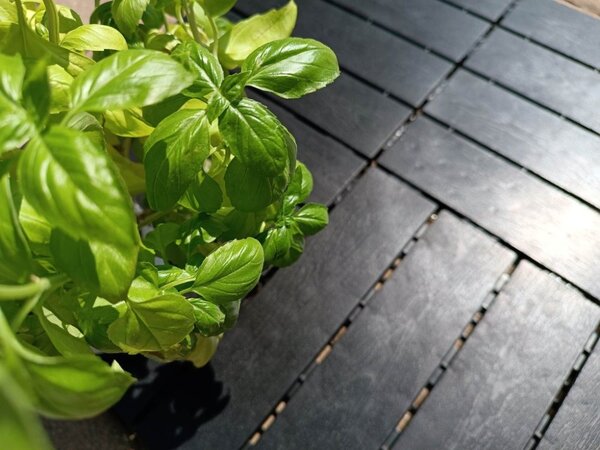 Venkovní dlažba Mosolut Hestra typ Woodlook, černá, 1 m²