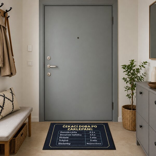 Mercury Flooring, Rohožka Čekací doba 40x60 cm - na ven i na doma, 40x60, černá