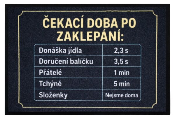 Mercury Flooring, Rohožka Čekací doba 40x60 cm - na ven i na doma, 40x60, černá