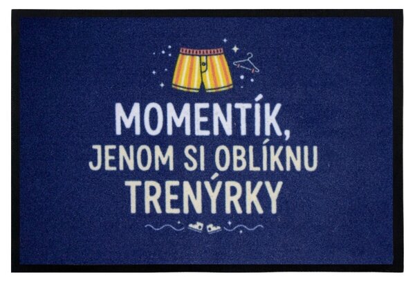 Mercury Flooring, Trenýrková rohožka 40x60 cm - na ven i na doma, 40x60, modrá