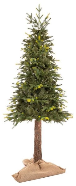 Vánoční stromek Smrk přírodní na kmínku 220 cm