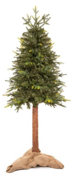 Vánoční stromek Smrk přírodní na kmínku 180 cm