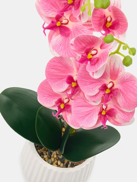 Sinsay - Decorative plant in a pot - pastelová růžová