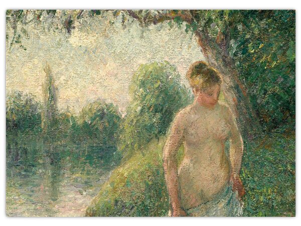 Obraz - Camille Pissarro, The Bather, reprodukce (70x50 cm)