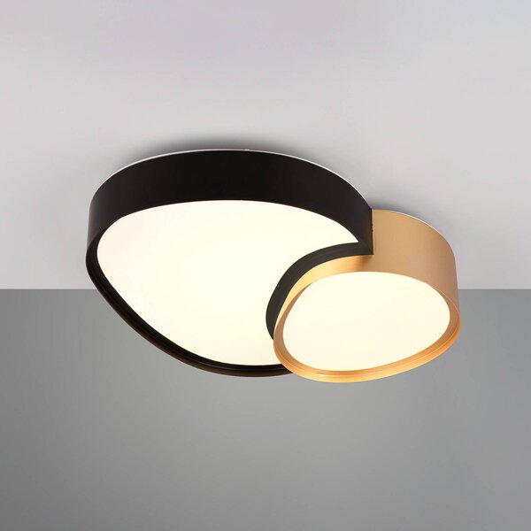Trio Lighting Stropní svítidlo LED Rise, černo-zlaté, 43 x 36 cm, stmívatelné, stmívatelný, Černá, Obývací pokoj / jídelna, kov, Moderní