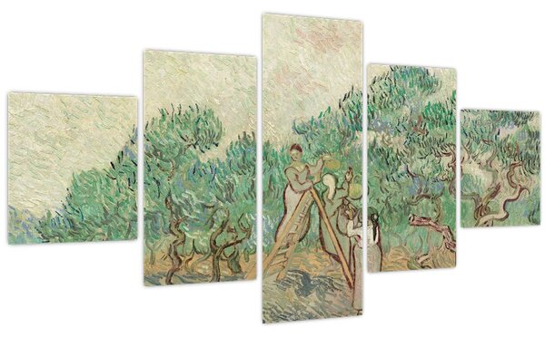Obraz - Vincent van Gogh, The Olive Orchard, reprodukce (125x70 cm)