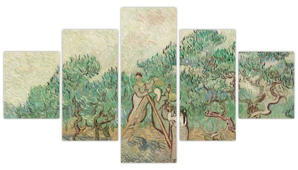 Obraz - Vincent van Gogh, The Olive Orchard, reprodukce (125x70 cm)