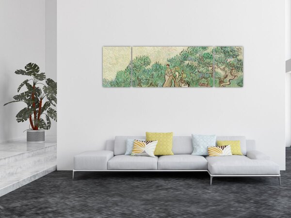 Obraz - Vincent van Gogh, The Olive Orchard, reprodukce (170x50 cm)
