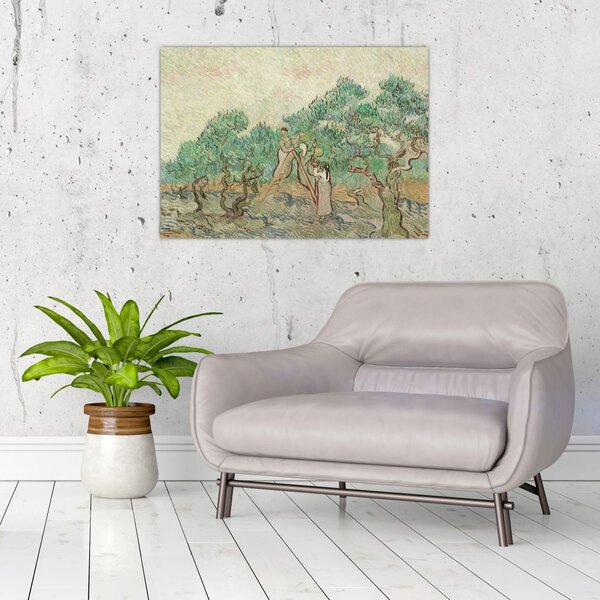 Obraz - Vincent van Gogh, The Olive Orchard, reprodukce (70x50 cm)