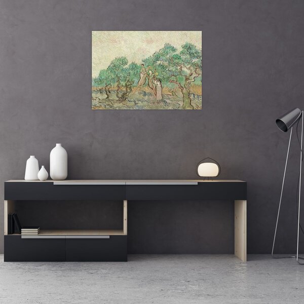 Obraz - Vincent van Gogh, The Olive Orchard, reprodukce (70x50 cm)