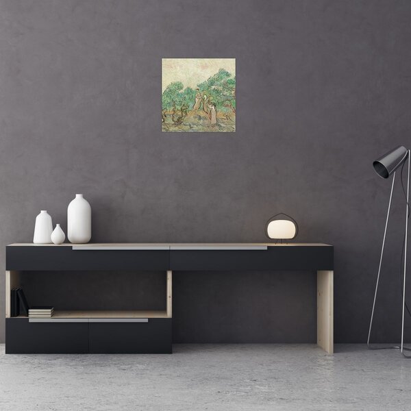 Obraz - Vincent van Gogh, The Olive Orchard, reprodukce (30x30 cm)