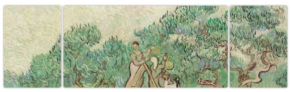 Obraz - Vincent van Gogh, The Olive Orchard, reprodukce (170x50 cm)
