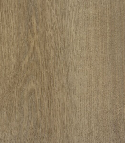 IVC Commercial, PVC podlaha - lino Logitex Ultimate 55 Elias T47, na míru, šíře 2m,4m, hnědá, filc, chodba / předsíň