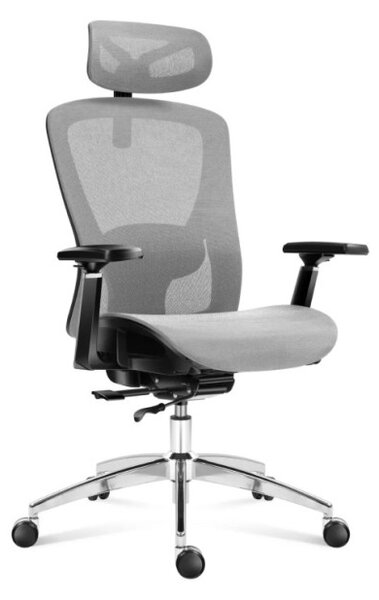 Kancelářská židle Expert 5.3 Grey Mesh