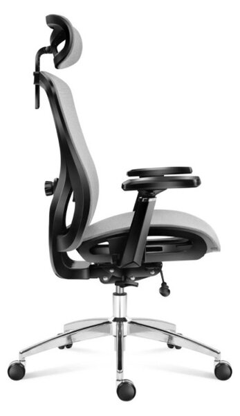 Kancelářská židle Expert 5.3 Grey Mesh