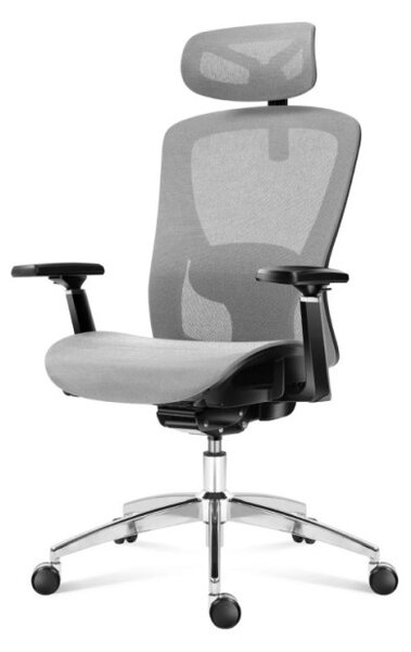 Kancelářská židle Expert 5.3 Grey Mesh