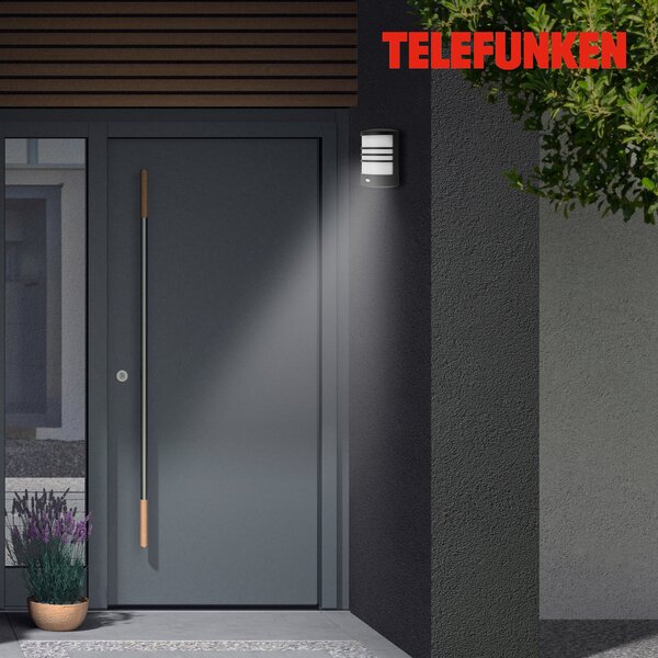TF 315505TF TELEFUNKEN LED venkovní svítidlo 24,5 cm 12W 1200lm černá - BRILONER