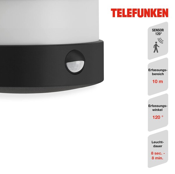TF 315505TF TELEFUNKEN LED venkovní svítidlo 24,5 cm 12W 1200lm černá - BRILONER